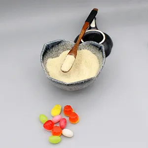 High Quality HALAL Certificated gelatin