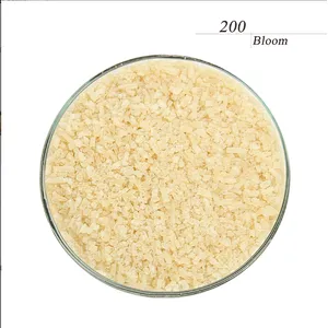 Halal Gelatine Pharmagel Pharmaceutical Grade Gelatin Powder