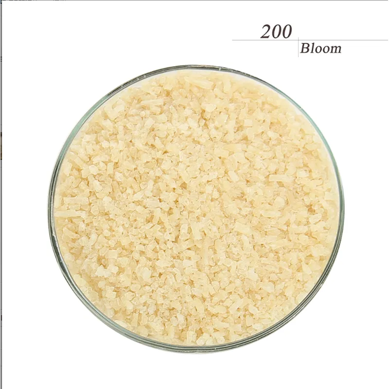 Halal Gelatine Pharmagel Pharmaceutical Grade Gelatin Powder