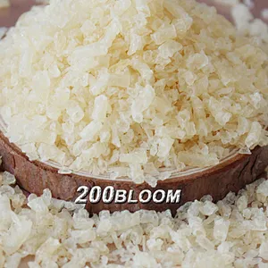 High Quality HALAL Certificated gelatin